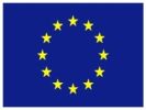 eu flag